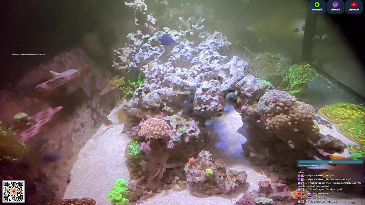 24/7 Real Live Reef Stream