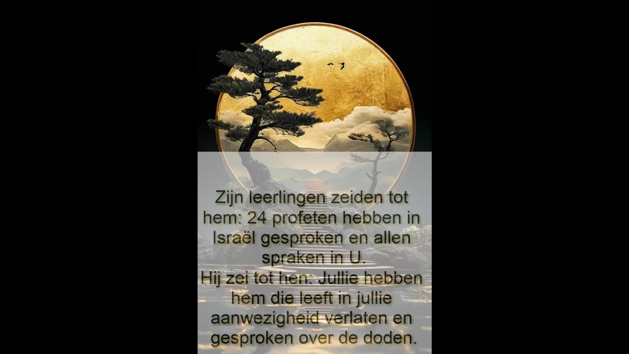 24 Profeten