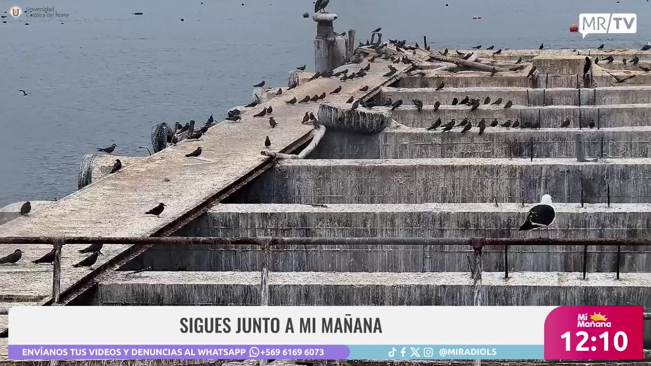 MI MAÑANA 19/03/2025