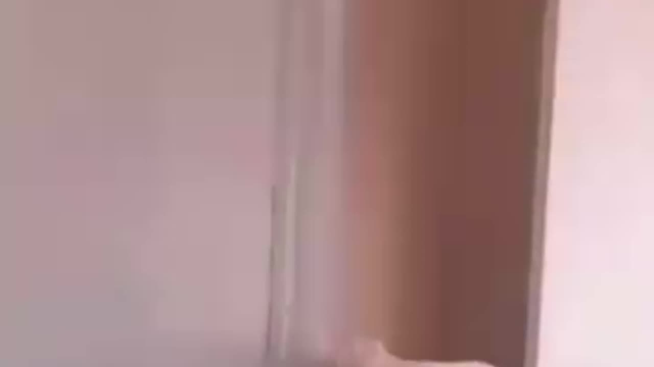 cheeky little parrot