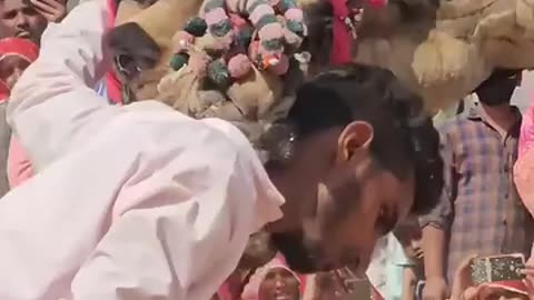 ●●¡¡