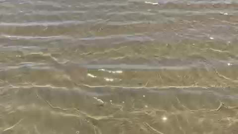 Pesaro Italy - The Simple Charm of the Adriatic Sea