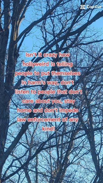 Short video about hollyweird