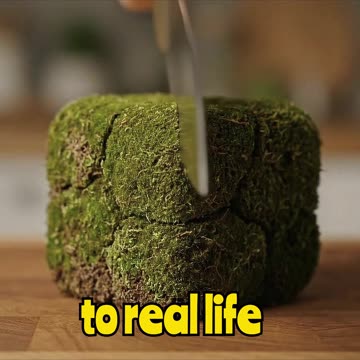 Real Minecraft Grass Block Has A Surprise Inside