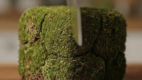 Real Minecraft Grass Block Has A Surprise Inside