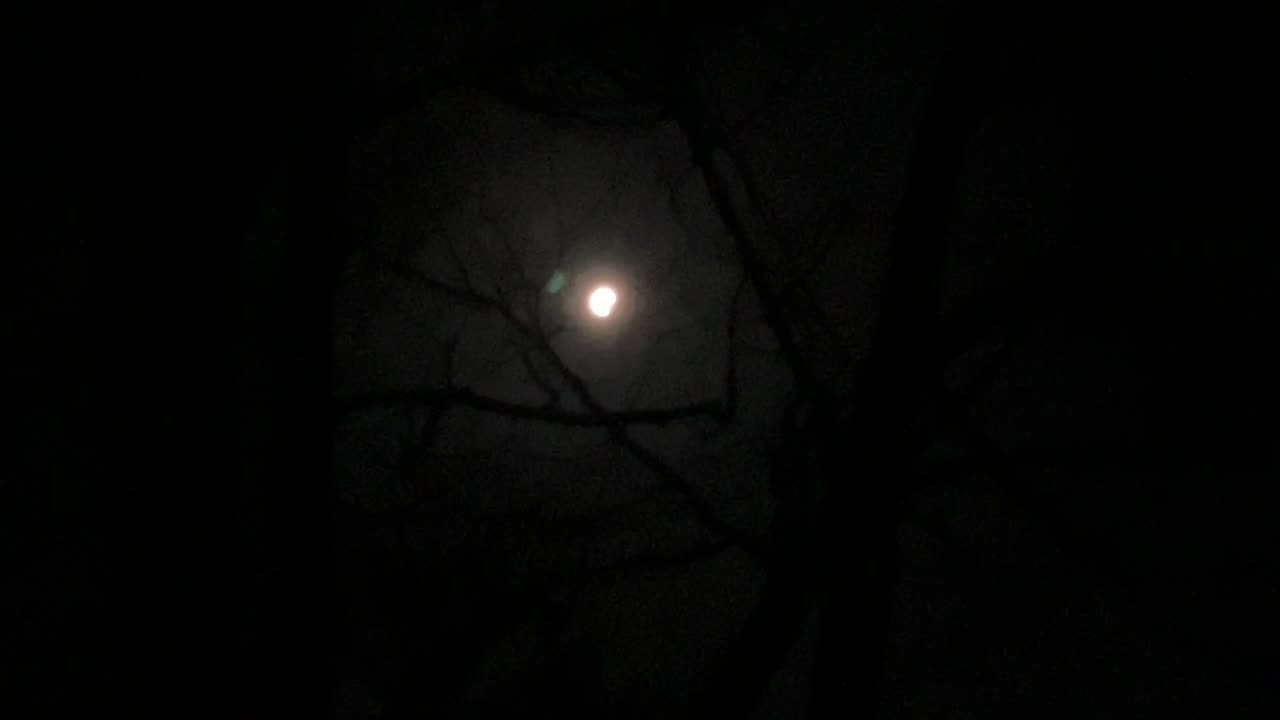 Lunar Eclipse 3-14-25, Part 5 Almost Completed