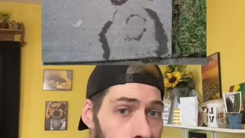 WHAT DO YOU SEE ?