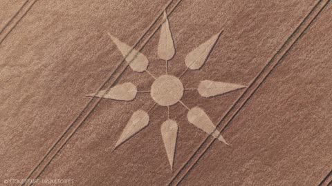 Crop Circle – Bondip Hill, près de Kingsdon, Somerset. Signalé le 17/06/2025.