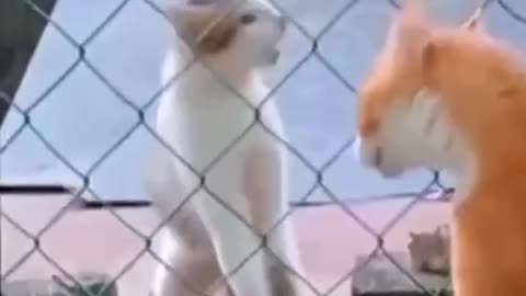 And the Best Dramatic Acting Award goes to...