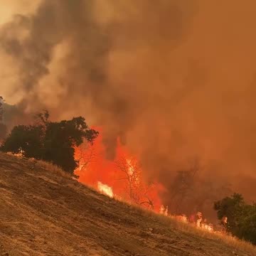 Multiple spot fires flared up on the Gifford Fire wind alignment working against crews