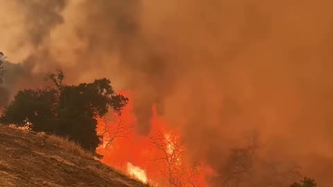 Multiple spot fires flared up on the Gifford Fire wind alignment working against crews