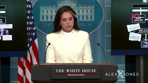 Tulsi Gabbard Exposes the COUP