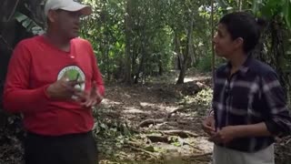 Tráfico en Perú: venta y rescate de animales