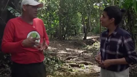 Tráfico en Perú: venta y rescate de animales