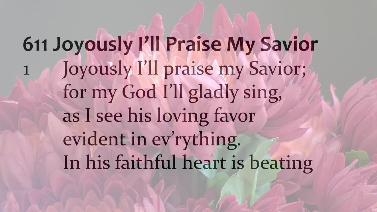 Worship From Mt. Olive Ev. Lutheran Church