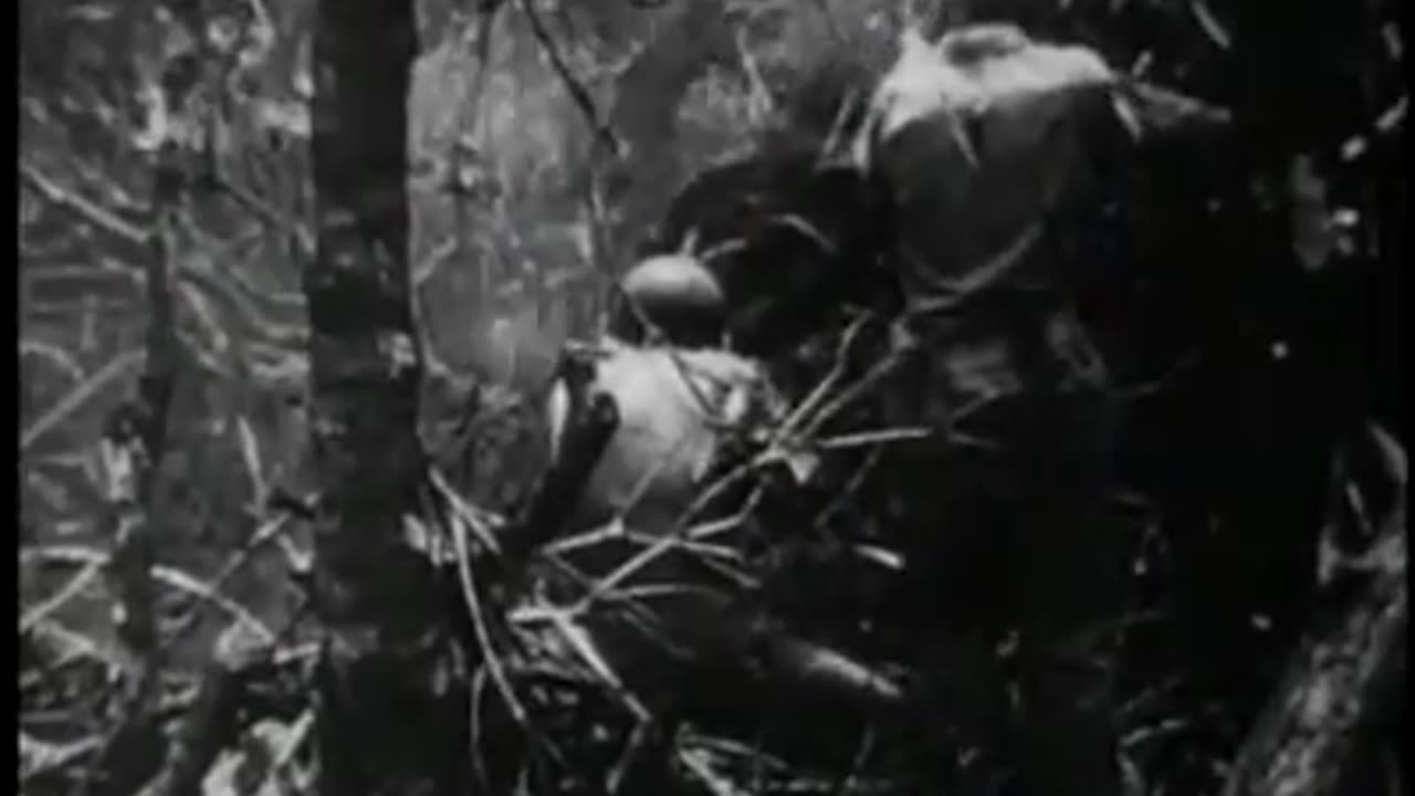 Ep-18 (2) - Victory At Sea ~ Two If By Sea - HQ