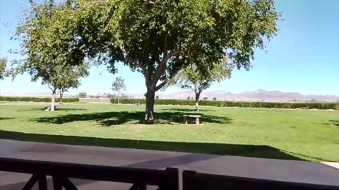 Some Final Thoughts at Palo Verde Cemetery