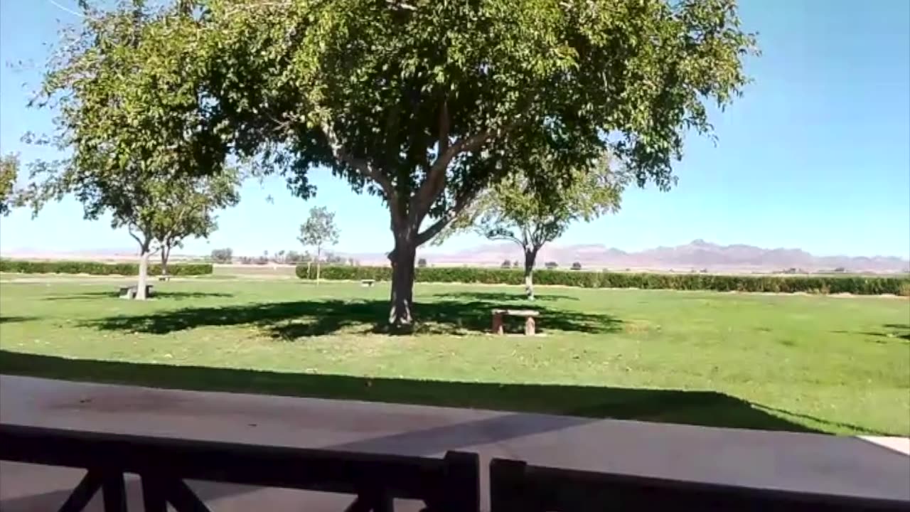 Some Final Thoughts at Palo Verde Cemetery