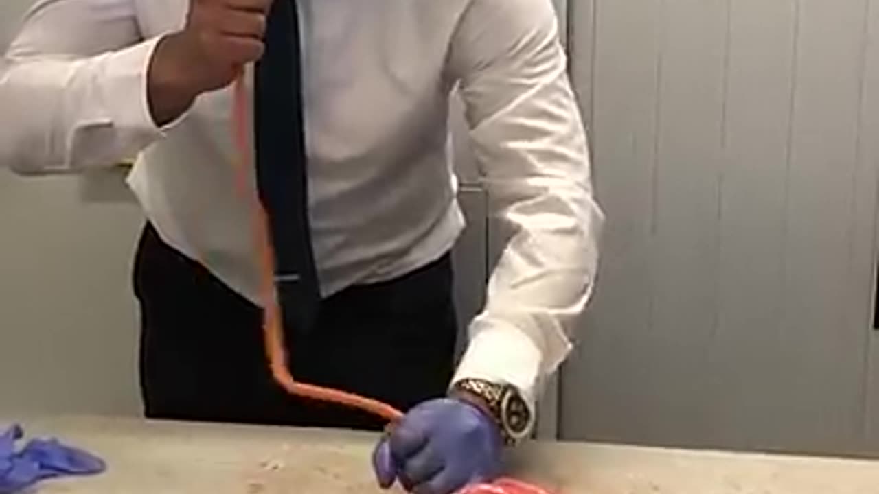 Must Watch: Lung inflation in Science Lesson
