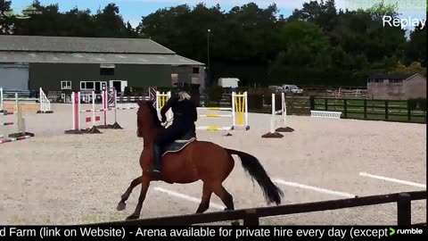 Mousehold Farm All Weather Riding arena