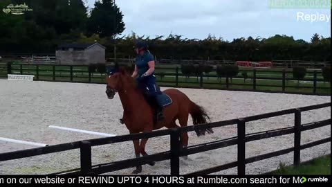 Mousehold Farm All Weather Riding arena