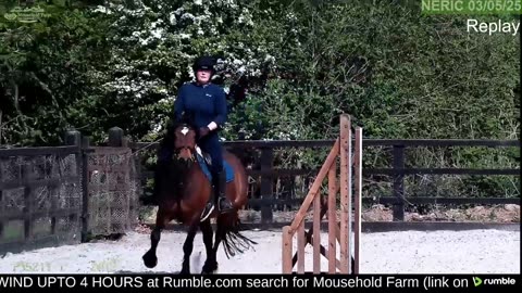 Mousehold Farm All Weather Riding arena