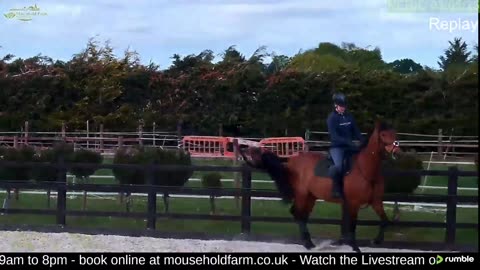 Mousehold Farm All Weather Riding arena