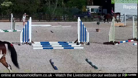 Mousehold Farm All Weather Riding arena