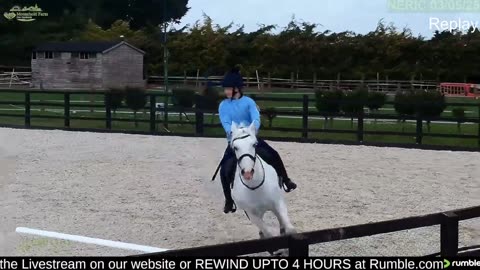 Mousehold Farm All Weather Riding arena