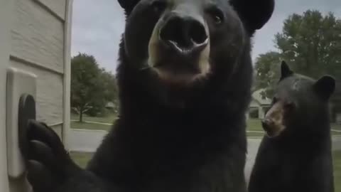 Bro, open the door!