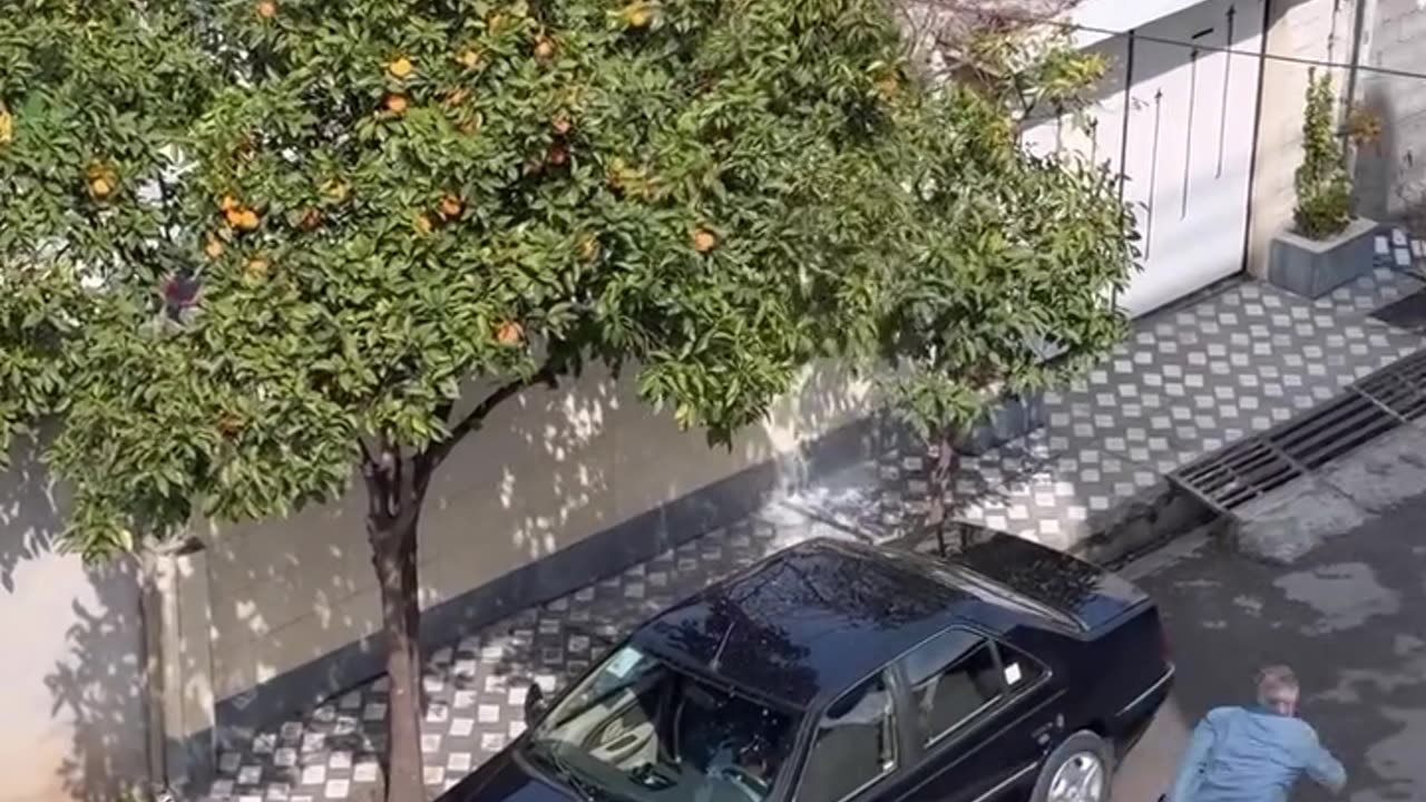 Comedy clips