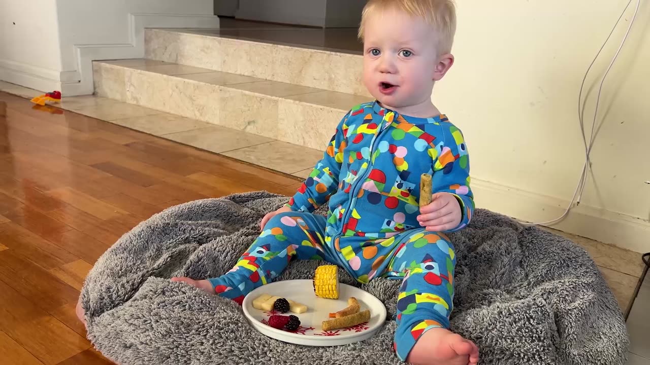 Adorable Toddler Munches Healthy Lunch on Dog’s Bed with Frenchie Buddy!