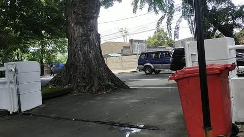 Watching the Busy Traffic on the Street