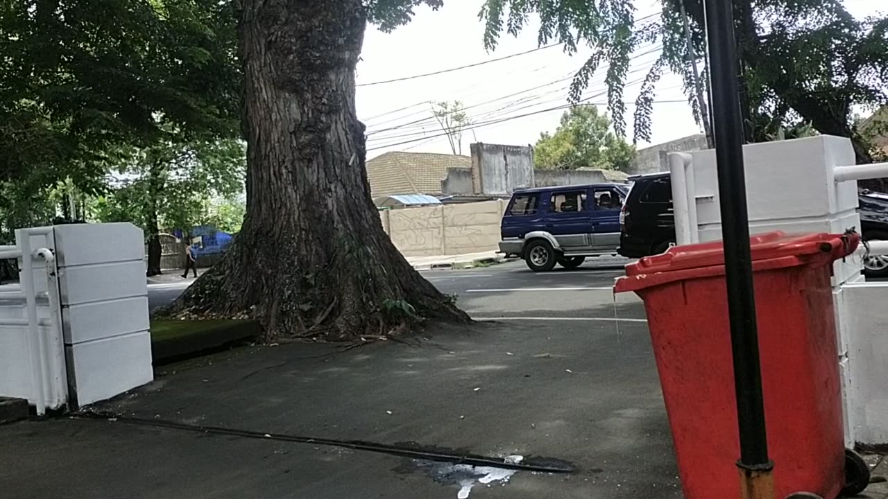 Watching the Busy Traffic on the Street