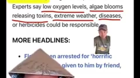 A boat has been seen spraying the toxic chemical Roundup into waters in Florida.