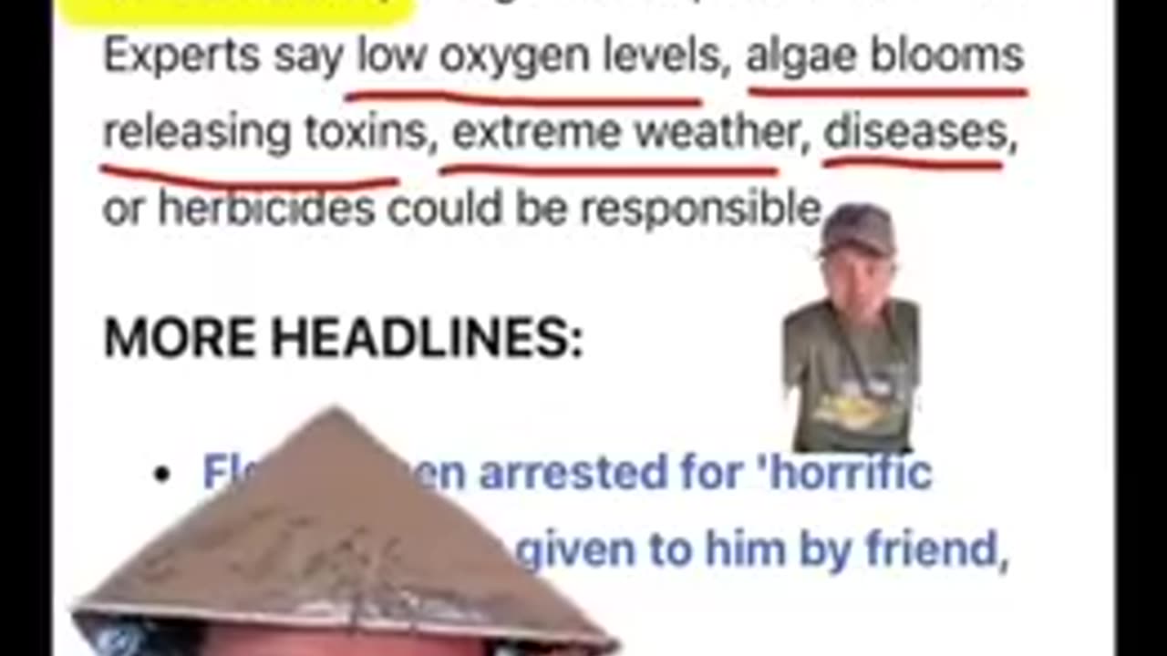 A boat has been seen spraying the toxic chemical Roundup into waters in Florida.