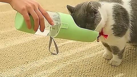 STORE LINK IN DESCRIPTION 2 In 1 Travel Dog Water Bottle Pet Water