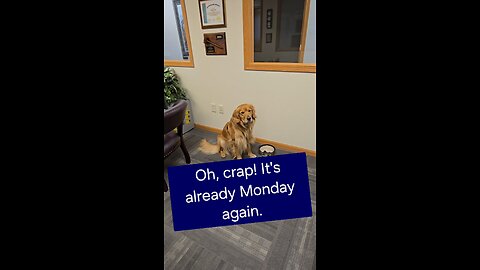 Oh, crap! It is already Monday again.