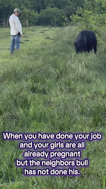 He just wants to help his “buddy” next door