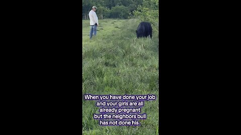 He just wants to help his “buddy” next door