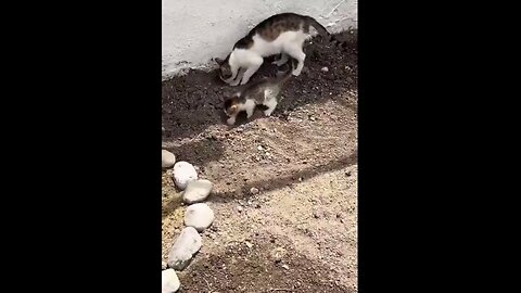 I wish she had told her child what she was going to do in this hole before digging it