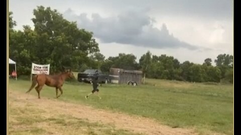 🐎 🤠 👢👢🐴🪶🏹❤️ #freetheland #freelarryhoover