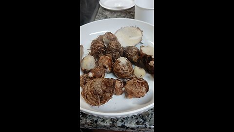 garden এর মুখী কচু অনেক yummy 😋 🇧🇩🇺🇸