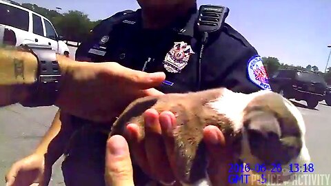Bodycam Shows Police Rescue Tiny Puppy Locked In Hot Car#1615