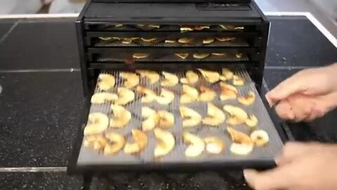"Guide to Making Dehydrated Apples for Long-Term Storage"