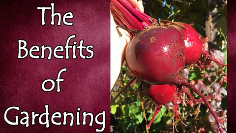 The Benefits of Gardening