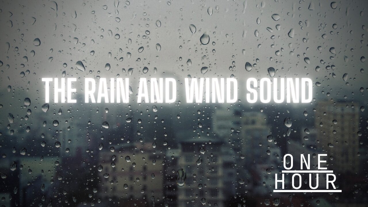 The Rain and Wind Sound - 1 hour