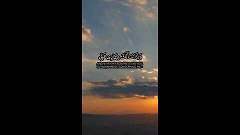 🎧 **تلاوة خاشعة من سورة البقرة | شايع التميمي | Surah Al-Baqarah by Shayee Al-Tamimi** 🌟