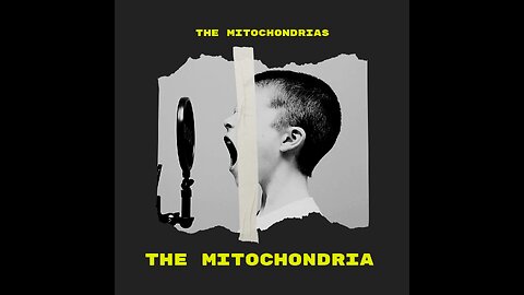 the mitochondria explained