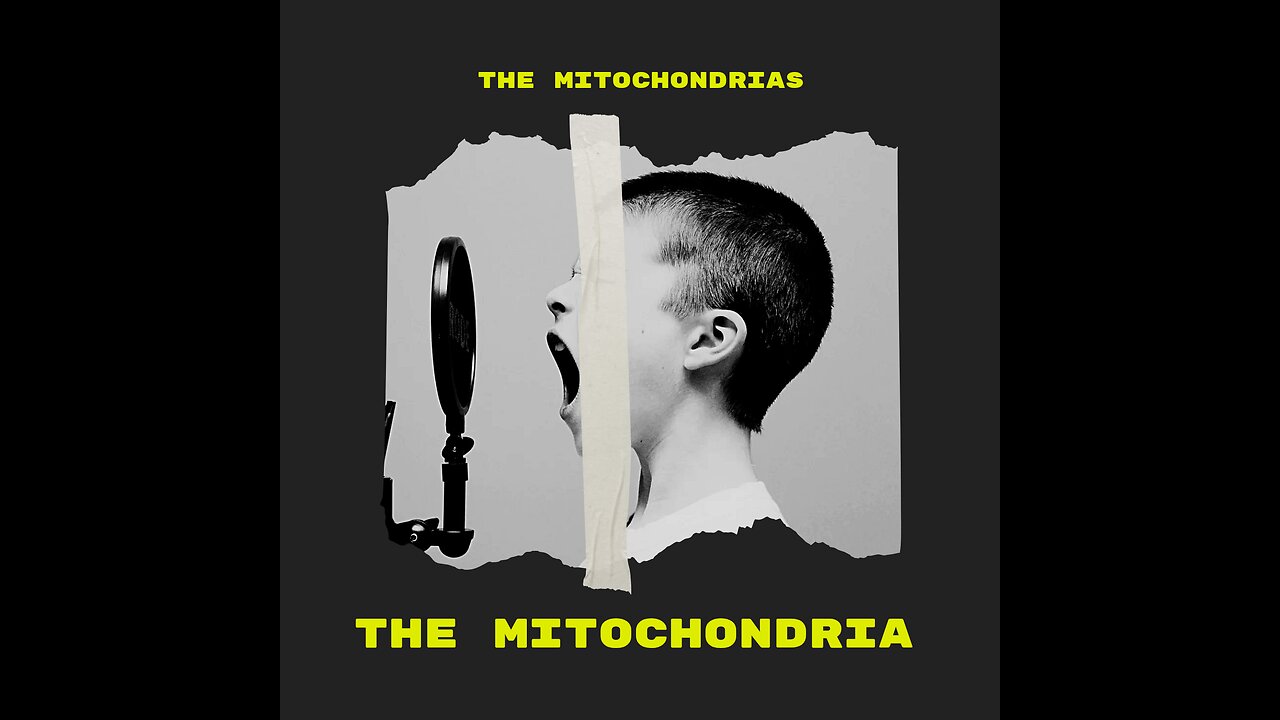 the mitochondria explained
